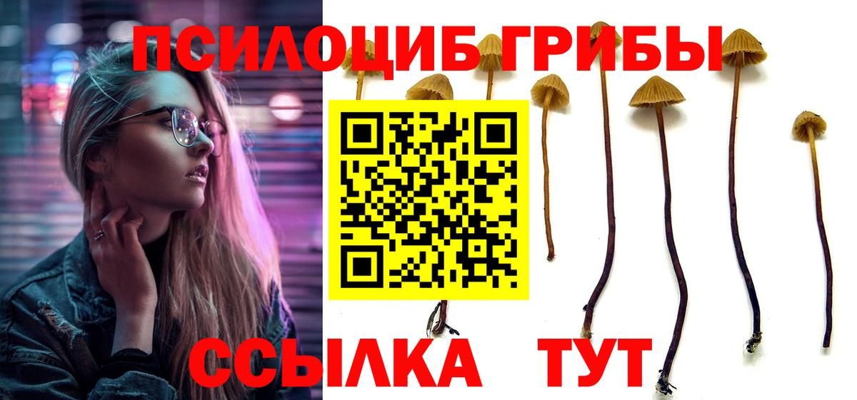 Галлюциногенные грибы прущие грибы  Вход с VPN  Лесосибирск  Псилоцибиновые грибы GOLDEN TEACHER 
